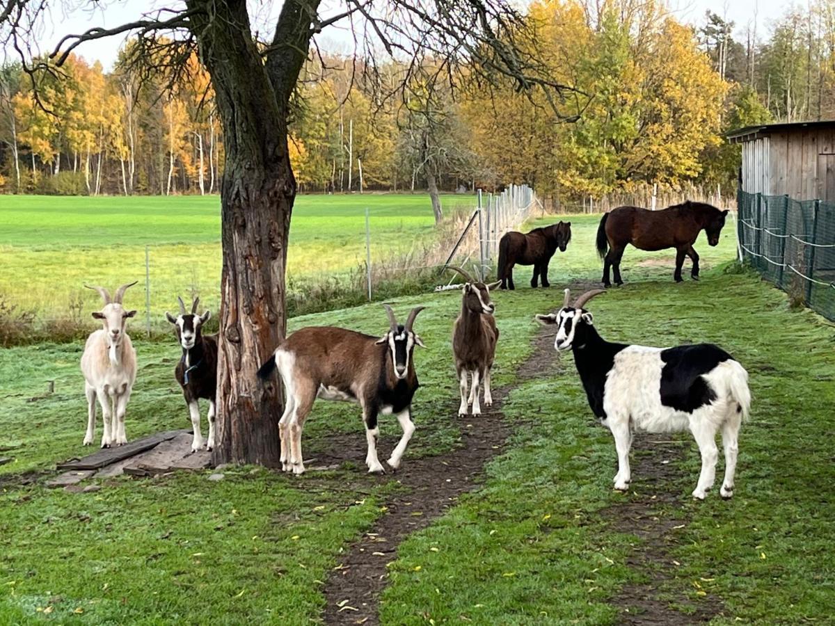 Ferienhof Olbasee Kleinsaubernitz Eksteriør bilde