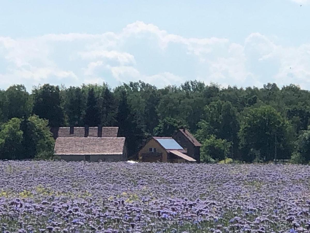 Ferienhof Olbasee Kleinsaubernitz Eksteriør bilde