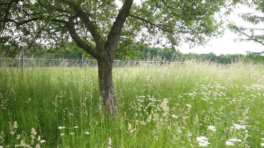 Ferienhof Olbasee Kleinsaubernitz Eksteriør bilde